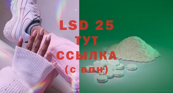стаф Карпинск