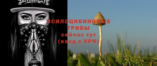 гашиш Касимов